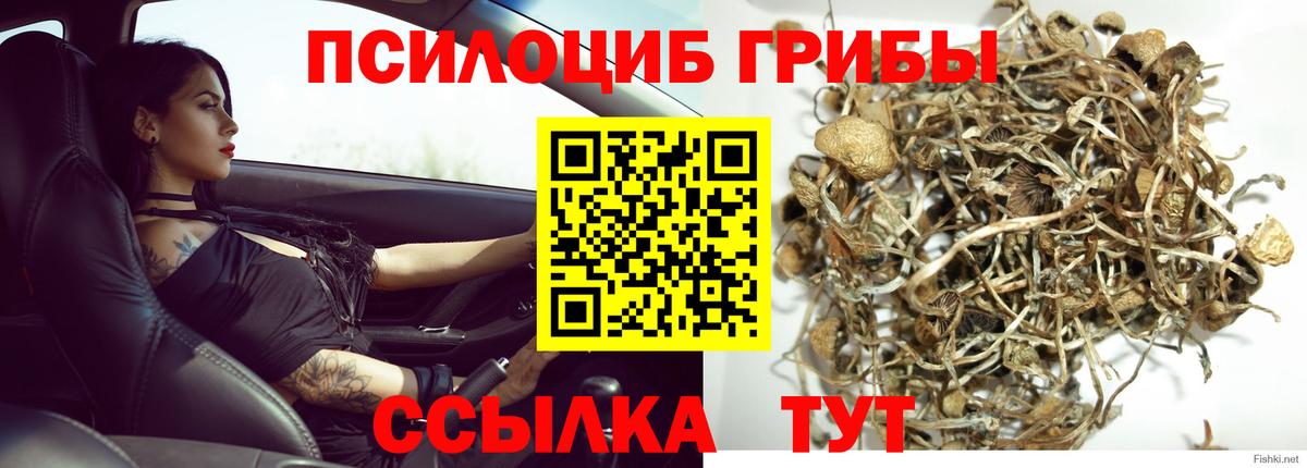 Нижний Тагил  Псилоцибиновые грибы прущие грибы  Вход с VPN 